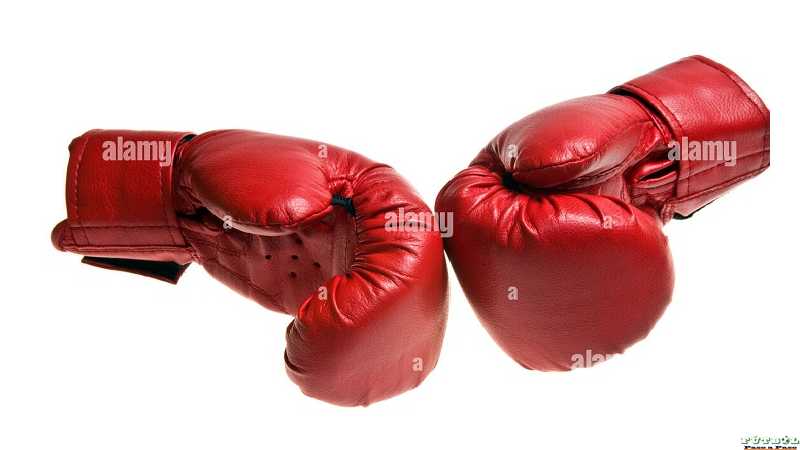 Resultados noche del viernes de Boxeo en Sportivo del Norte