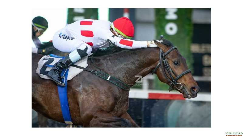 Clásico Domingo Torterolo en Hipódromo de Palermo, Brian Enrique dorrotó por medio cuerpo a Señor Dan.