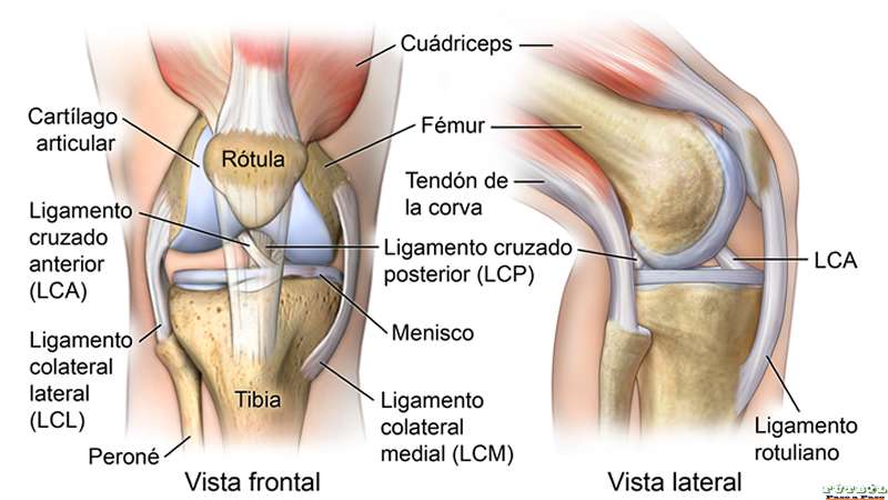 Lesiones de rodillas (I)