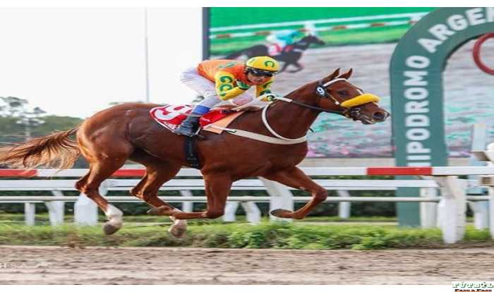 Brian Enrique de cuadreras en la zona a los mejores Hipódromos de Bs Aires