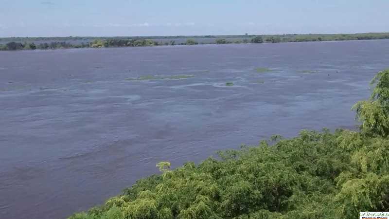 El río Paraná comenzó un “llamativo” proceso de creciente 