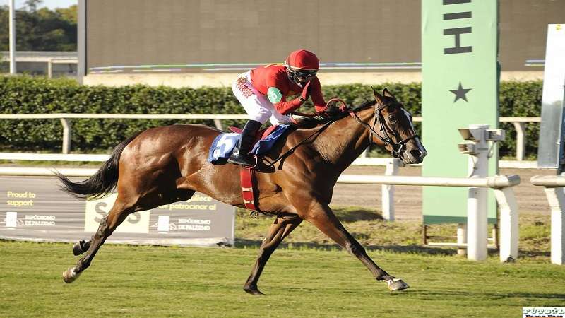 Brian Enrique triunfo sábado y domingo Ganador y Place $7,65 un espectáculo