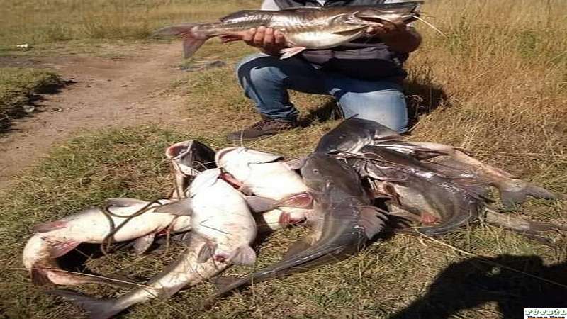 Roberto Motura volvió por una buena pesca en arroyos cercanos