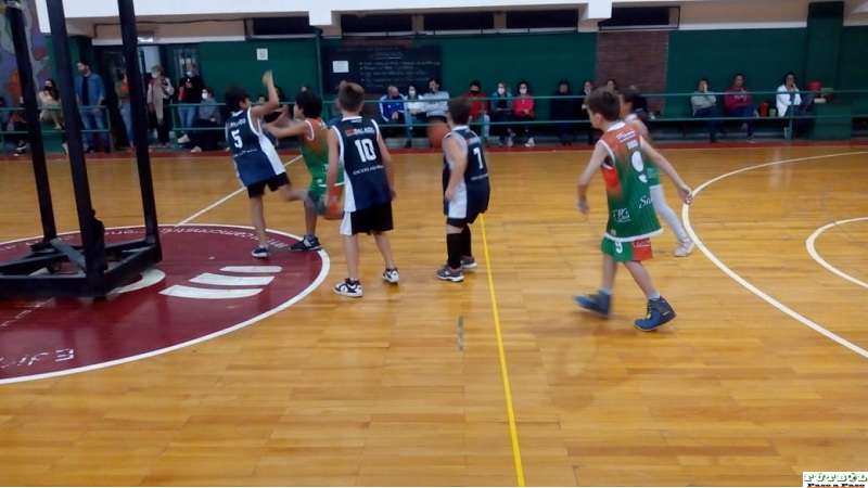 Básquet: las inferiores de Alma Juniors vencieron a Macabi