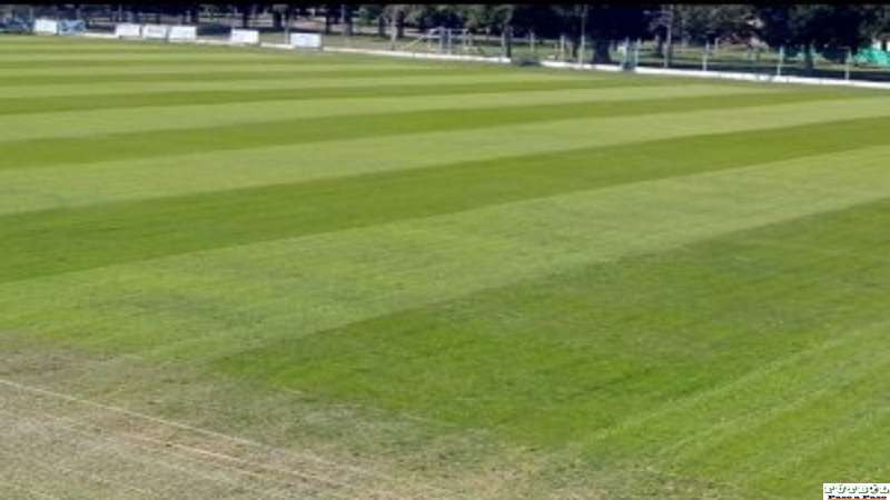 Cristian Brega Presidente de San Lorenzo cuenta lo que se realiza en la institución