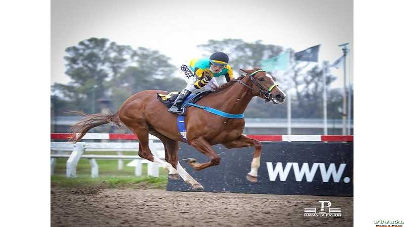 Noticias varias : Titulares importantes deportivas de última hora VIERNES 17 DE SEPTIEMBRE 2021