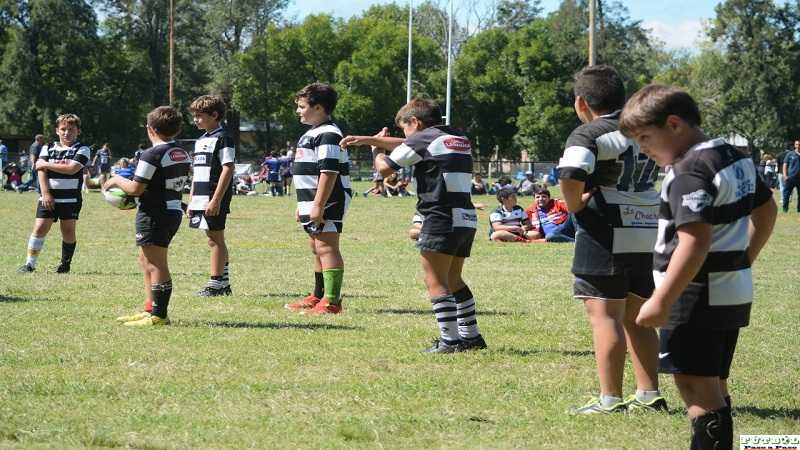 Alma Juniors organizó un gran encuentro de rugby infantil