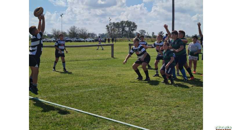 Informe de los equipos de Rugby Alma Jrs 10/4/2022