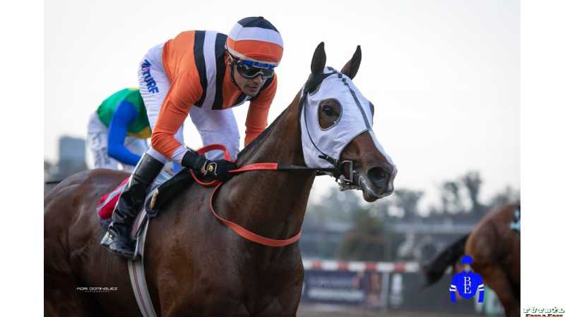 Brian Enrique logró cuatro éxitos y, además, fue elegido por la gente como el Jockey @beturf.ok de la jornada ver fotos