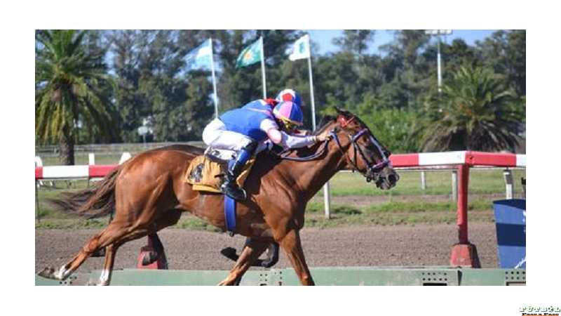 Brian Enrique se llevó el Clásico Fortunato Novara en la Plata