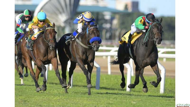 Con Brian Enrique en sus riendas, Maggie Go fue un canto al coraje