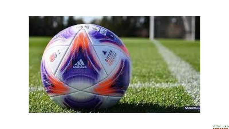 Ver aqui resultados Tercera Div. y Primera de la LEF domingo 28 abril