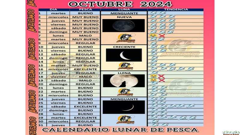 Calendario lunar octubre, para la mejor pesca