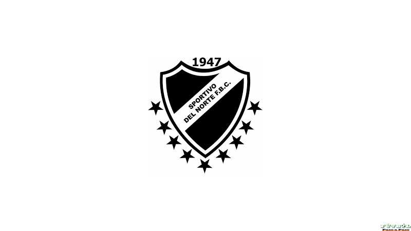 Sportivo del norte homenajeo a las divisiones menores