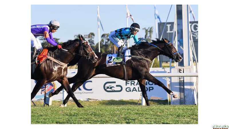 Brian Enrique En el Hipódromo San Isidro se quedó con el #GPMartínezDeHoz (G1-2000m) ver fotos