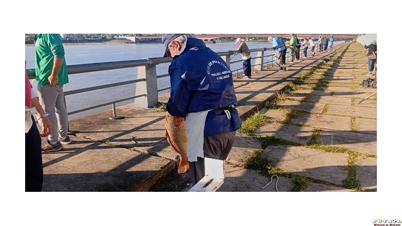 Club De Pesca F. Meiners realizó el segundo interno por especies en Costanera Oeste (ver 6 fotos mas)