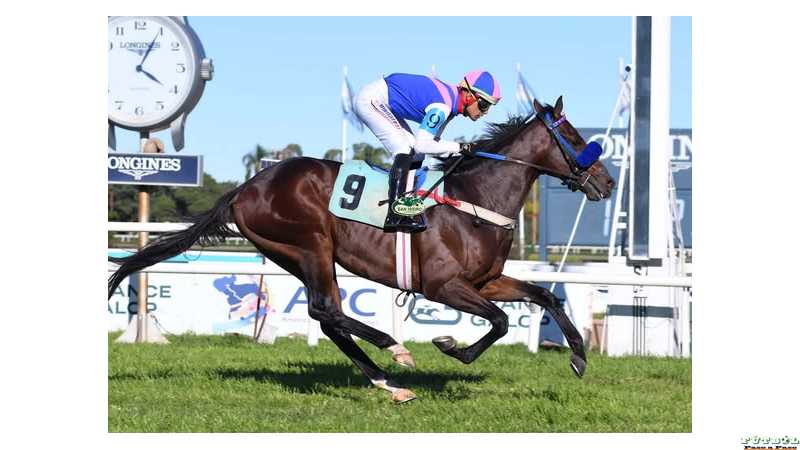 En el Hipódromo San Isidro se disputó el #ClásicoZubiaurre (1500m),ganador #BrianEnrique. 24-4-2026