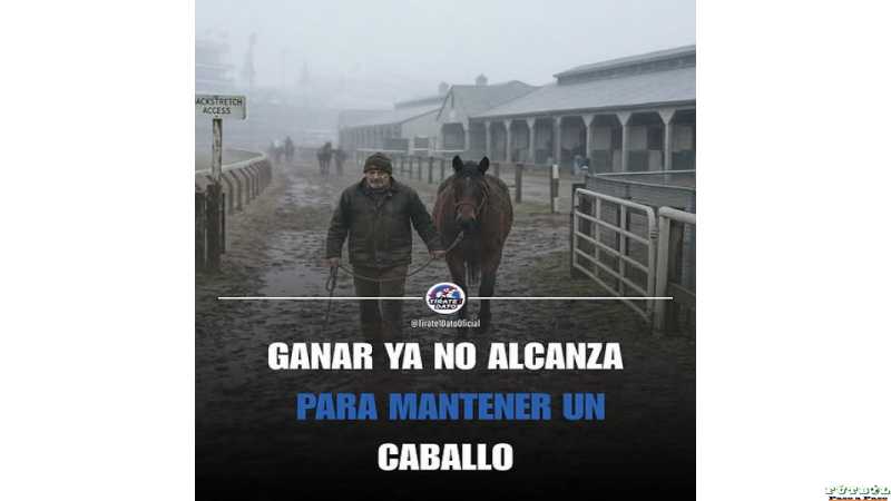 ​​​​​​​ Hoy un caballo puede ganar una carrera menor y aun así dejar pérdidas al propietario. Esa es la realidad que pocos quieren mostrar.