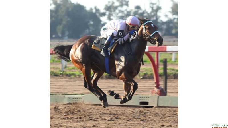 Brian Enrique otra vez ganó hoy Clasico Wilfredol Latham  (1100metros-L)