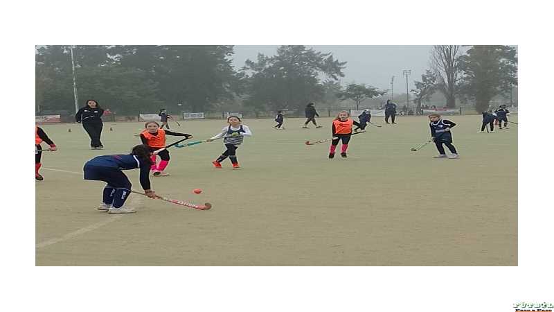 HOCKEY: Alma Juniors recibió a La Salle Jobson de Santa Fe y Las Mamis de Alma Juniors vencieron a Querandí