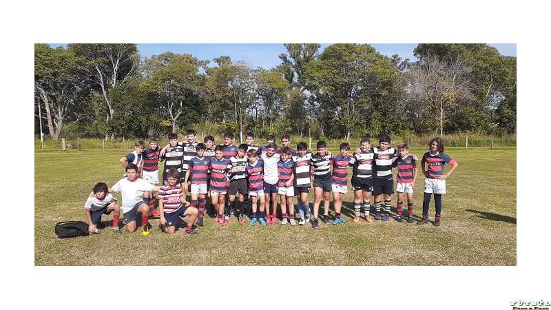Rugby: infantiles y juveniles de Alma Juniors jugaron en Santa Fe