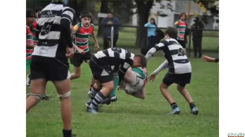 Rugby: Alma Juniors venció a Provincial de Rosario en todas las categorías