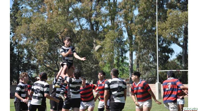 RUGBY: Alma Juniors no pudo con Jockey de Venado Tuerto