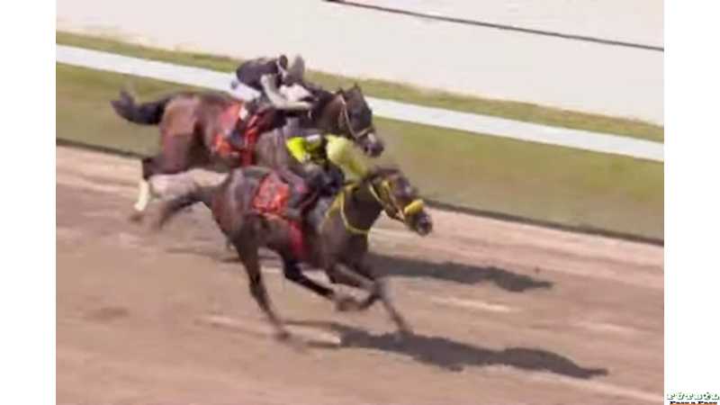 Brian Enrique 2do en Venezuela en los 1200 metros